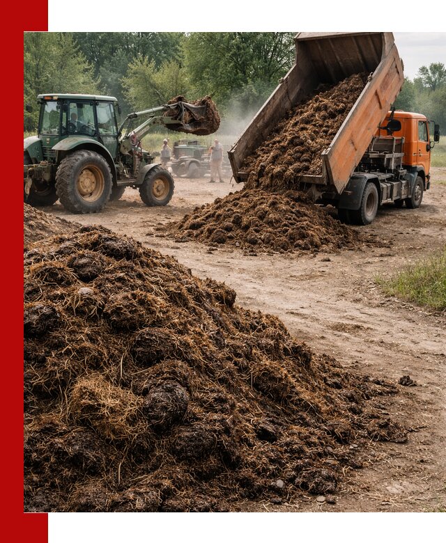 Доставка навоза самосвалами в асбесте для сельхозпотребностей